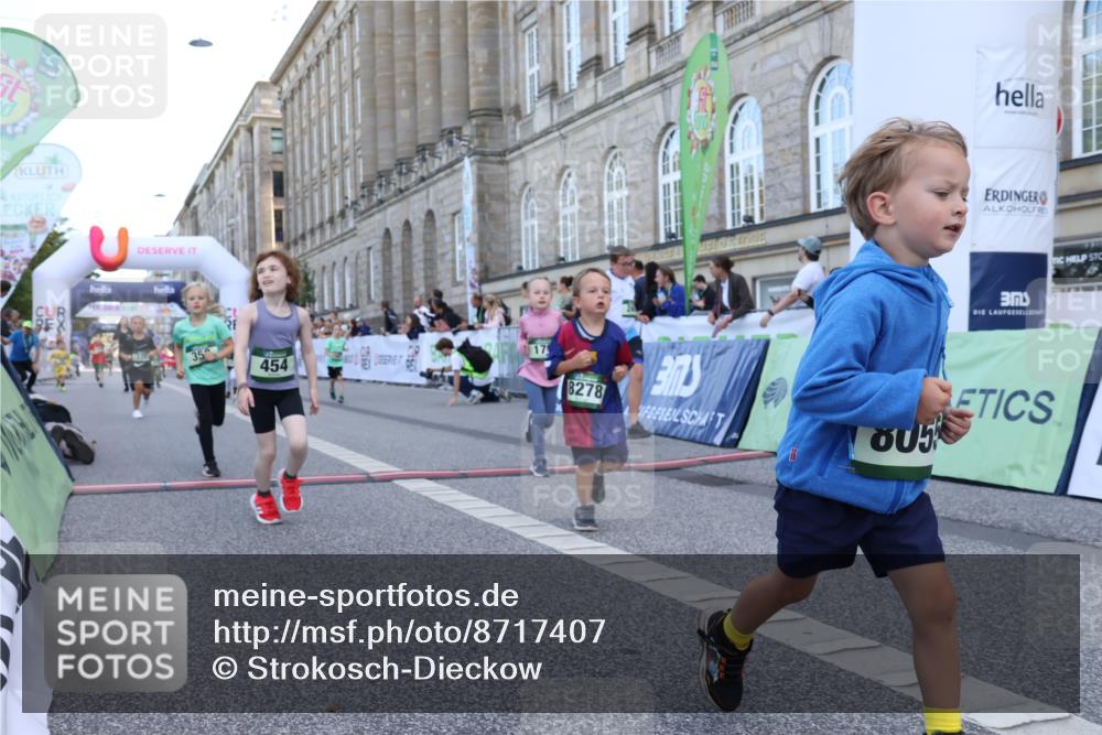 07.09.2025 - BARMER Alsterlauf Strokosch-Dieckow http://msf.ph/oto/8717407 07.09.2025 10:53:37 Ziel 176, 246, 252, 264, 324, 325, 333, 337, 356, 358, 363, 454, 8055, 8278 meine-sportfotos.de