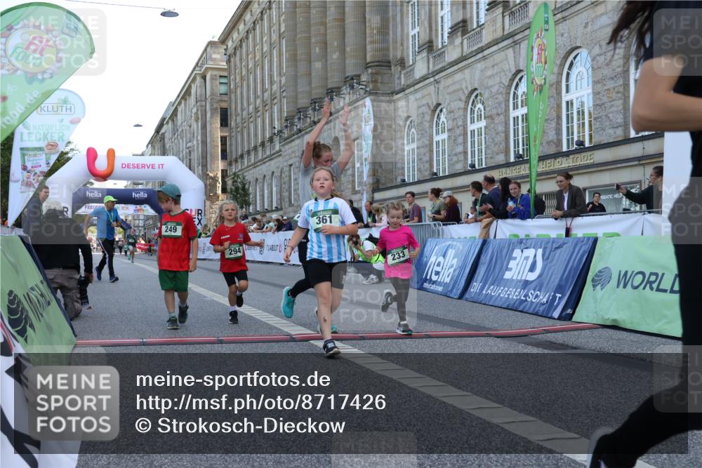 07.09.2025 - BARMER Alsterlauf Strokosch-Dieckow http://msf.ph/oto/8717426 07.09.2025 10:53:46 Ziel 233, 249, 252, 294, 324, 325, 333, 337, 361, 363 meine-sportfotos.de