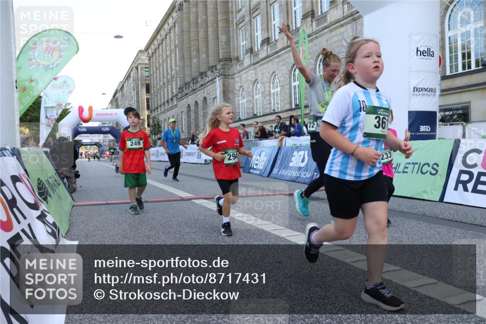 07.09.2025 - BARMER Alsterlauf Strokosch-Dieckow http://msf.ph/oto/8717431 07.09.2025 10:53:48 Ziel 183, 233, 249, 252, 294, 324, 325, 361 meine-sportfotos.de