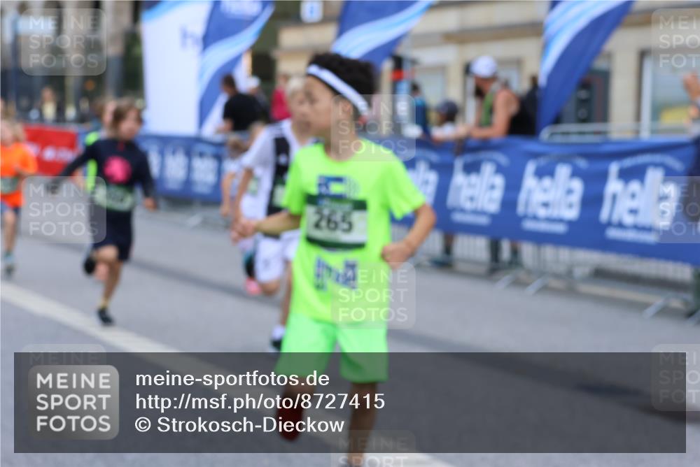 07.09.2025 - BARMER Alsterlauf Strokosch-Dieckow http://msf.ph/oto/8727415 07.09.2025 10:51:47 Ziel  meine-sportfotos.de