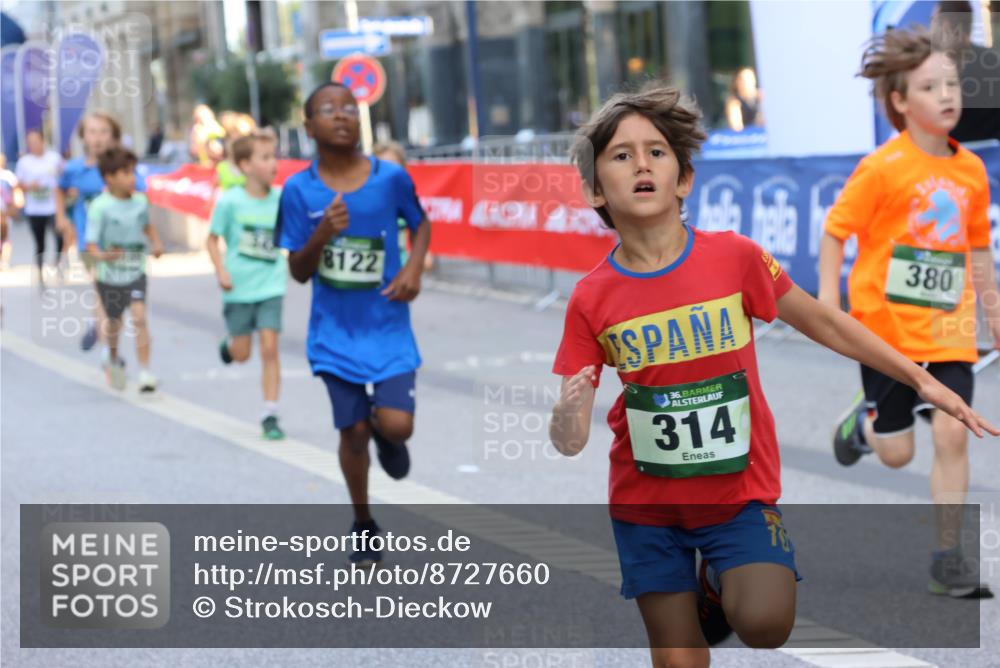 07.09.2025 - BARMER Alsterlauf Strokosch-Dieckow http://msf.ph/oto/8727660 07.09.2025 10:51:15 Ziel  meine-sportfotos.de