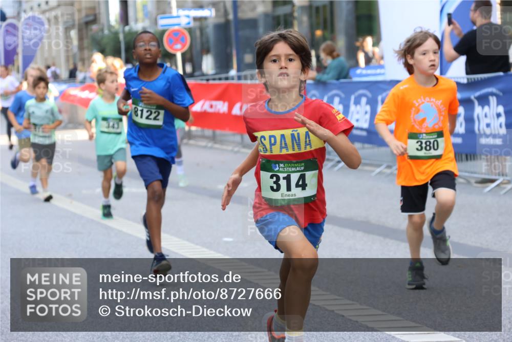 07.09.2025 - BARMER Alsterlauf Strokosch-Dieckow http://msf.ph/oto/8727666 07.09.2025 10:51:15 Ziel  meine-sportfotos.de