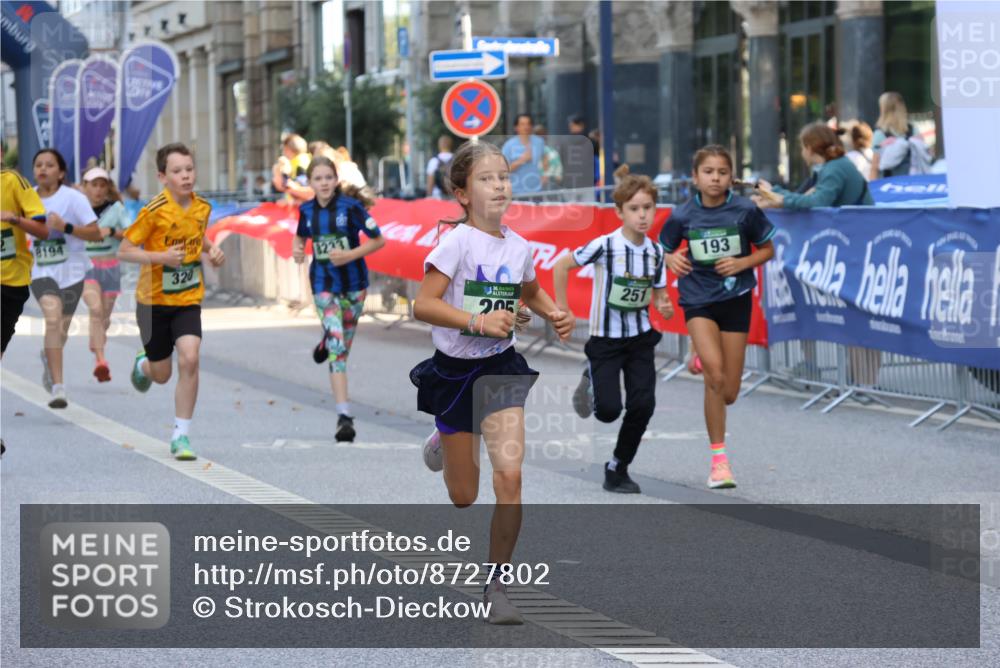 07.09.2025 - BARMER Alsterlauf Strokosch-Dieckow http://msf.ph/oto/8727802 07.09.2025 10:50:52 Ziel  meine-sportfotos.de