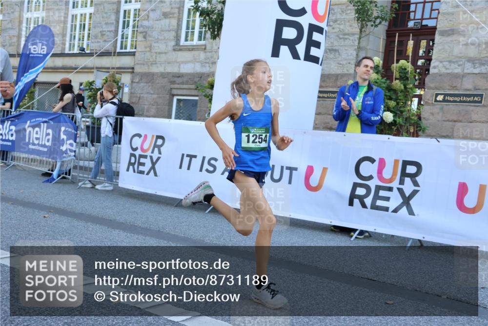 07.09.2025 - BARMER Alsterlauf Strokosch-Dieckow http://msf.ph/oto/8731189 07.09.2025 11:50:11 Ziel  meine-sportfotos.de