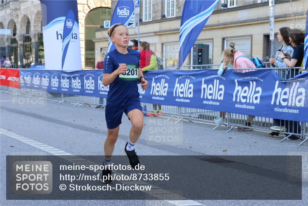 07.09.2025 - BARMER Alsterlauf Strokosch-Dieckow http://msf.ph/oto/8733855 07.09.2025 11:46:14 Ziel 1169, 1170, 1208 meine-sportfotos.de