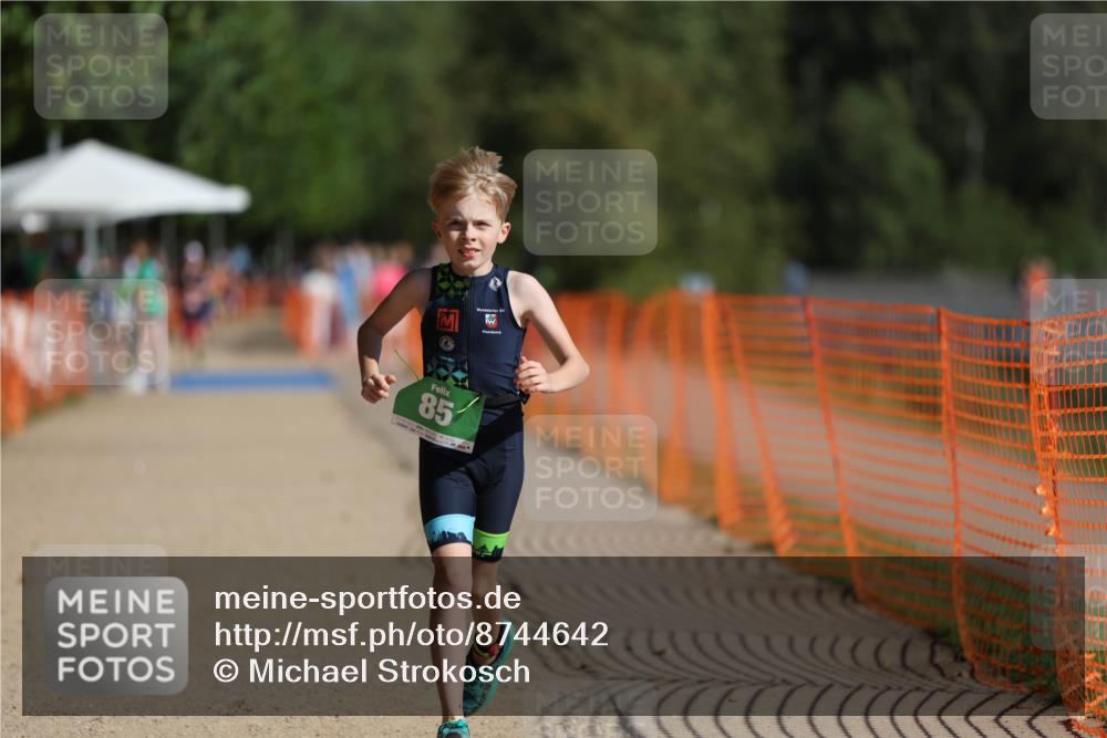 07.09.2025 - 19. Norderstedt Triathlon Michael Strokosch http://msf.ph/oto/8744642 07.09.2025 10:58:52 Laufen 85, 1113 meine-sportfotos.de