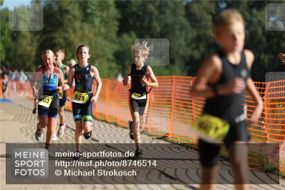 07.09.2025 - 19. Norderstedt Triathlon Michael Strokosch http://msf.ph/oto/8746514 07.09.2025 09:44:36 Laufen 559, 601, 603, 623, 625, 629 meine-sportfotos.de