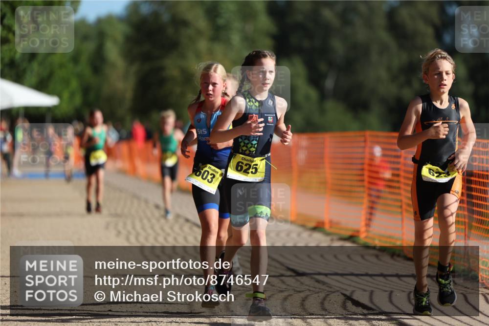 07.09.2025 - 19. Norderstedt Triathlon Michael Strokosch http://msf.ph/oto/8746547 07.09.2025 09:44:38 Laufen 559, 601, 603, 607, 623, 625, 629 meine-sportfotos.de