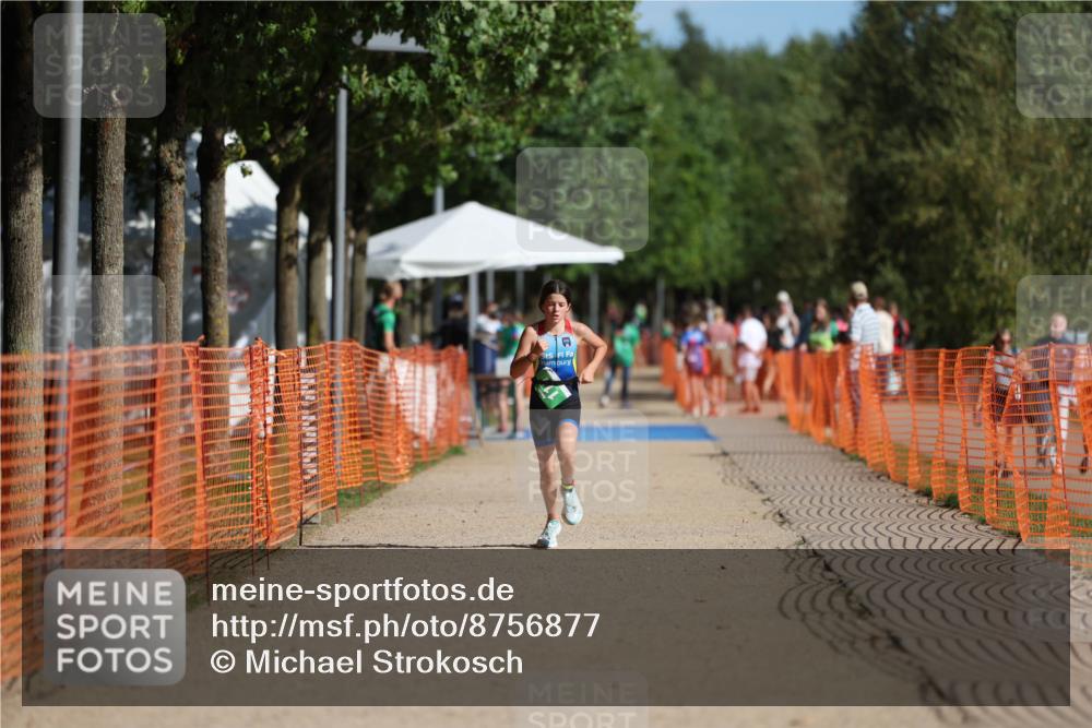 07.09.2025 - 19. Norderstedt Triathlon Michael Strokosch http://msf.ph/oto/8756877 07.09.2025 11:01:42 Laufen 74, 111 meine-sportfotos.de