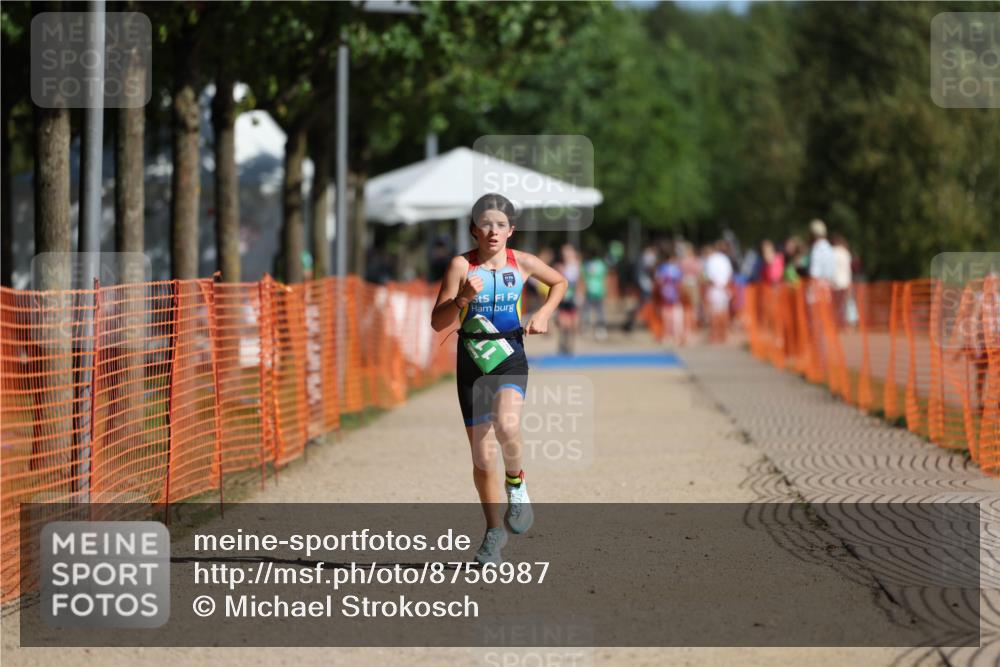 07.09.2025 - 19. Norderstedt Triathlon Michael Strokosch http://msf.ph/oto/8756987 07.09.2025 11:01:45 Laufen 74, 111 meine-sportfotos.de