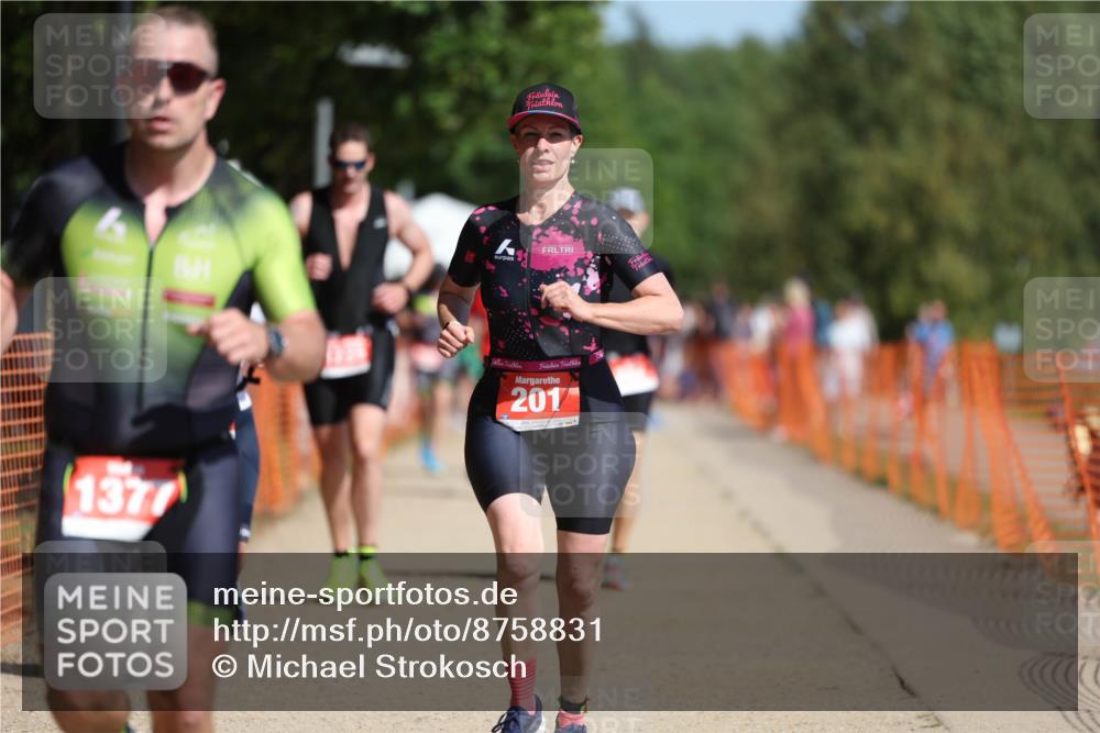 07.09.2025 - 19. Norderstedt Triathlon Michael Strokosch http://msf.ph/oto/8758831 07.09.2025 12:05:47 Laufen 201, 237, 815, 1225, 1377 meine-sportfotos.de
