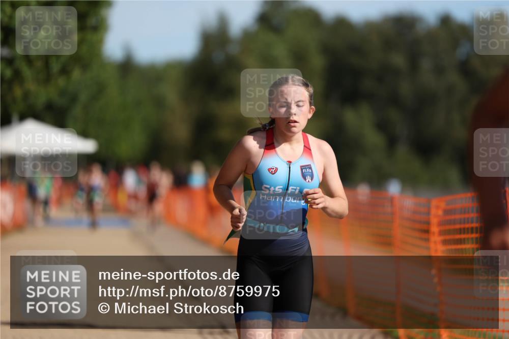 07.09.2025 - 19. Norderstedt Triathlon Michael Strokosch http://msf.ph/oto/8759975 07.09.2025 10:45:01 Laufen 108, 131, 1111, 1119 meine-sportfotos.de