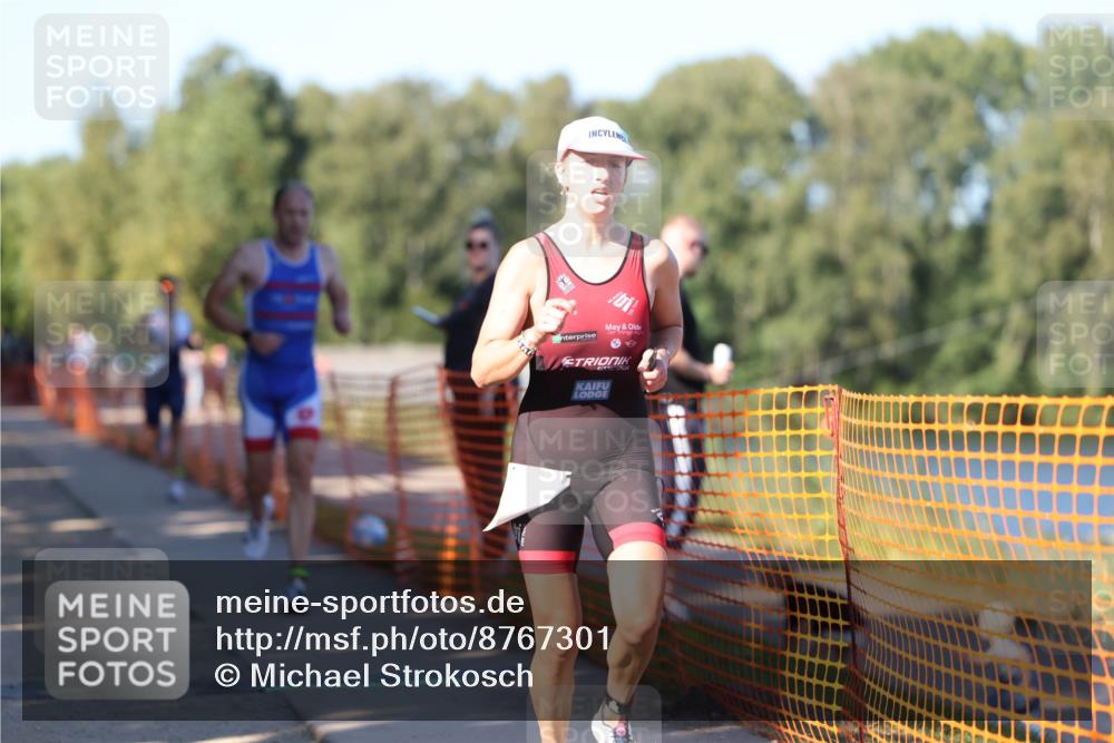 07.09.2025 - 19. Norderstedt Triathlon Michael Strokosch http://msf.ph/oto/8767301 07.09.2025 16:15:03 Laufen 479, 494, 536, 1051, 1065, 1563, 1600 meine-sportfotos.de