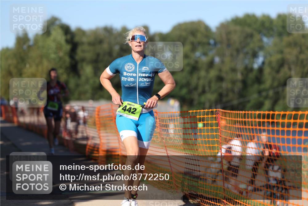 07.09.2025 - 19. Norderstedt Triathlon Michael Strokosch http://msf.ph/oto/8772250 07.09.2025 15:36:09 Laufen 438, 442, 1012 meine-sportfotos.de