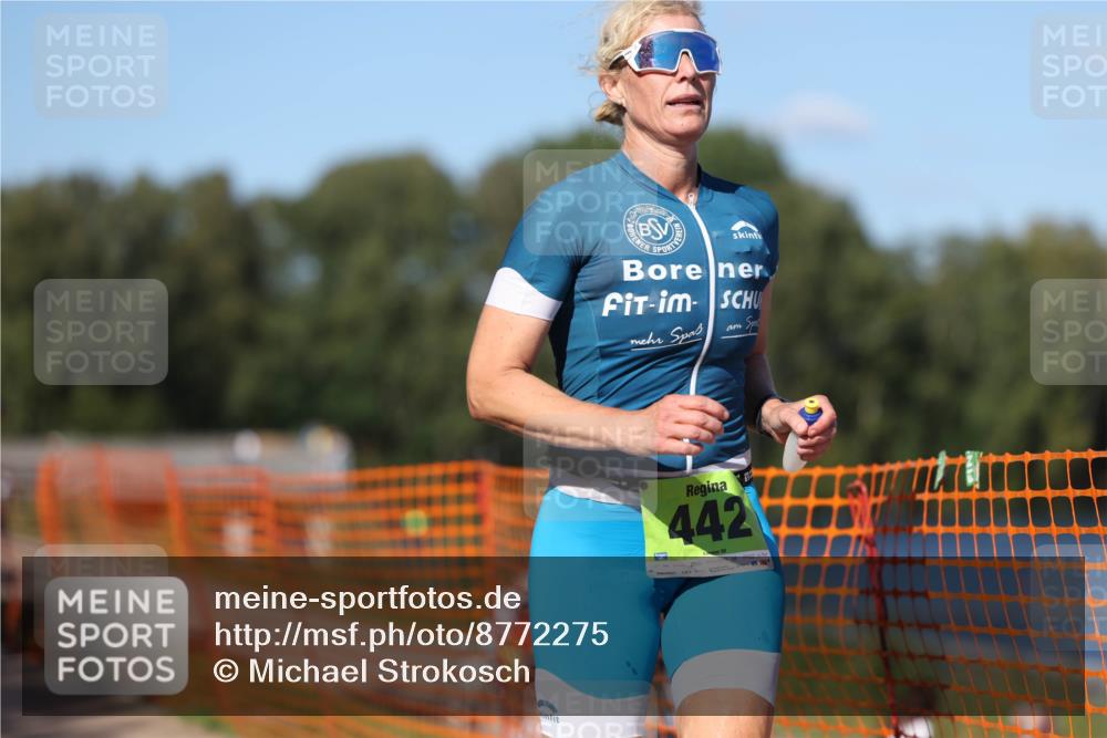 07.09.2025 - 19. Norderstedt Triathlon Michael Strokosch http://msf.ph/oto/8772275 07.09.2025 15:36:11 Laufen 438, 442, 1012 meine-sportfotos.de