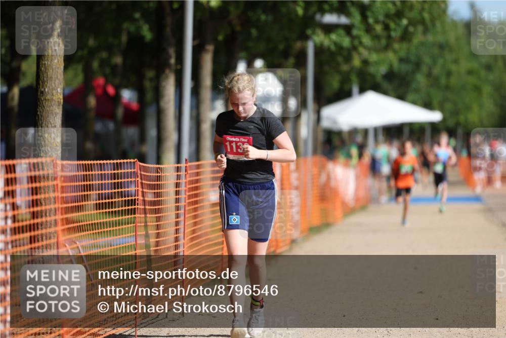 07.09.2025 - 19. Norderstedt Triathlon Michael Strokosch http://msf.ph/oto/8796546 07.09.2025 10:52:19 Laufen 86, 1130 meine-sportfotos.de