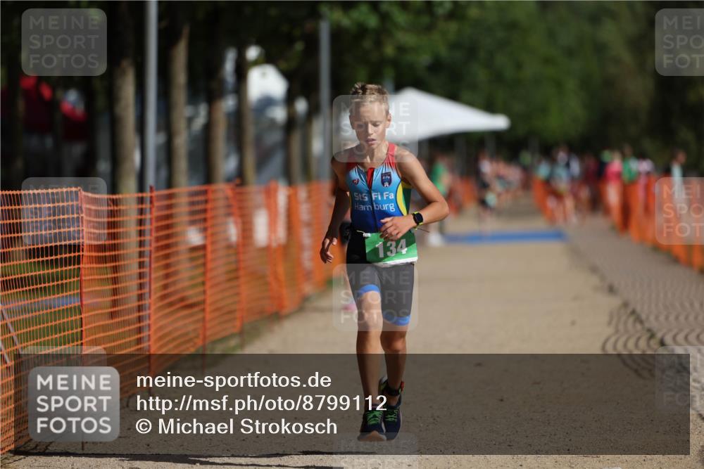 07.09.2025 - 19. Norderstedt Triathlon Michael Strokosch http://msf.ph/oto/8799112 07.09.2025 10:55:40 Laufen 134, 637, 680 meine-sportfotos.de