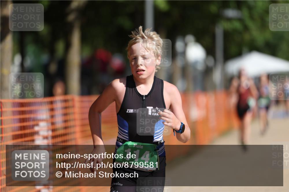 07.09.2025 - 19. Norderstedt Triathlon Michael Strokosch http://msf.ph/oto/8799581 07.09.2025 10:56:09 Laufen 70, 109, 114, 682 meine-sportfotos.de