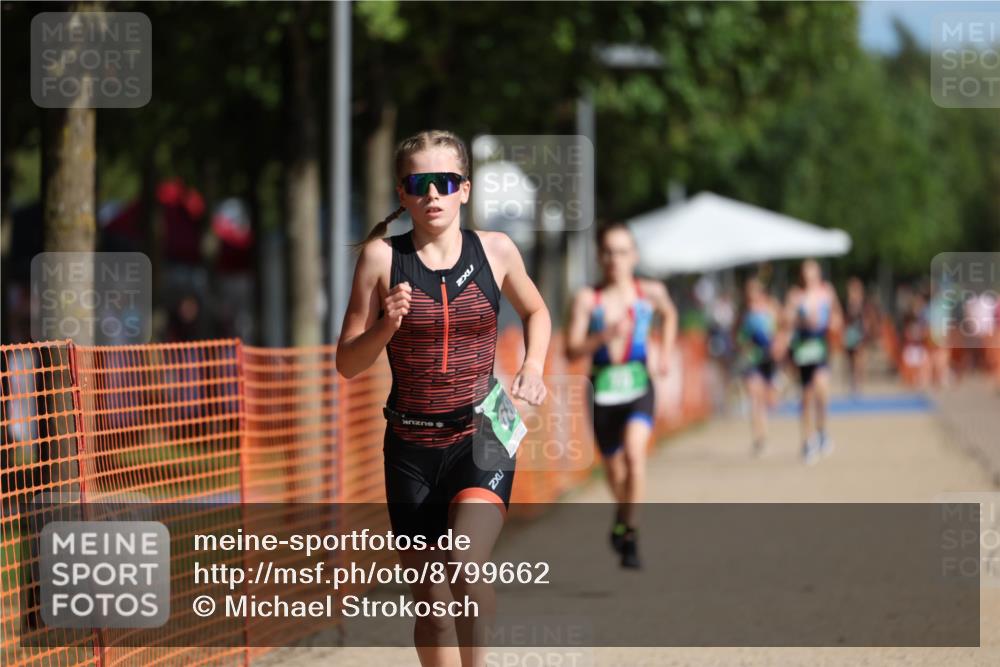 07.09.2025 - 19. Norderstedt Triathlon Michael Strokosch http://msf.ph/oto/8799662 07.09.2025 10:56:12 Laufen 70, 114, 682 meine-sportfotos.de