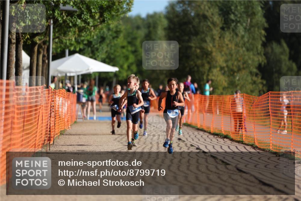 07.09.2025 - 19. Norderstedt Triathlon Michael Strokosch http://msf.ph/oto/8799719 07.09.2025 09:13:16 Laufen 3, 41, 49 meine-sportfotos.de