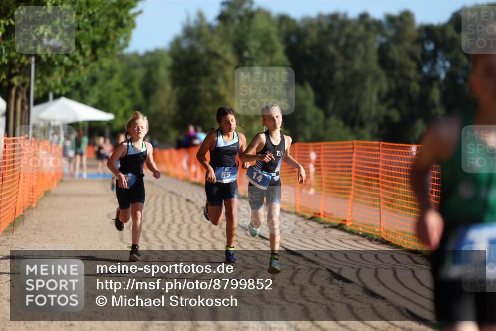 07.09.2025 - 19. Norderstedt Triathlon Michael Strokosch http://msf.ph/oto/8799852 07.09.2025 09:13:24 Laufen 3, 14, 41, 45, 49, 55 meine-sportfotos.de
