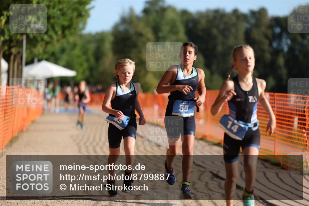 07.09.2025 - 19. Norderstedt Triathlon Michael Strokosch http://msf.ph/oto/8799887 07.09.2025 09:13:26 Laufen 3, 14, 29, 41, 45, 49, 55 meine-sportfotos.de