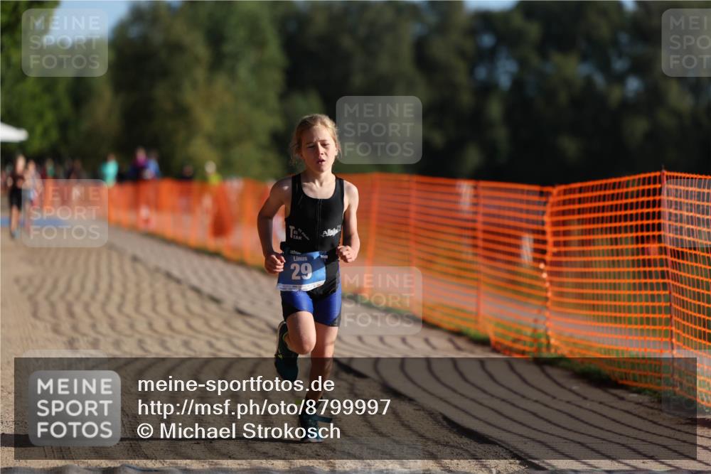 07.09.2025 - 19. Norderstedt Triathlon Michael Strokosch http://msf.ph/oto/8799997 07.09.2025 09:13:32 Laufen 29, 55 meine-sportfotos.de