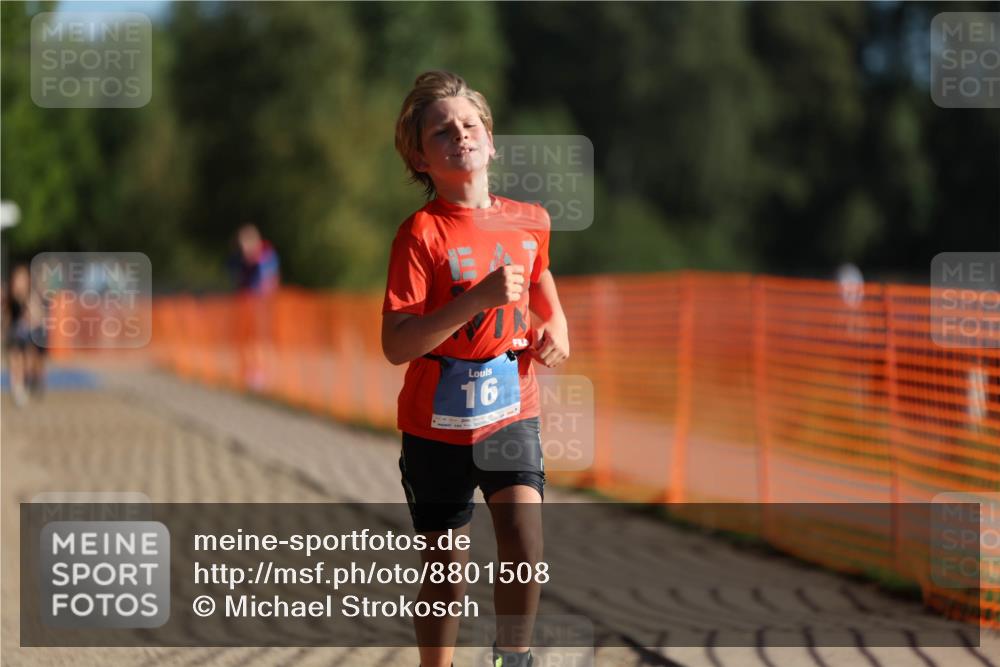 07.09.2025 - 19. Norderstedt Triathlon Michael Strokosch http://msf.ph/oto/8801508 07.09.2025 09:15:40 Laufen 16, 38 meine-sportfotos.de