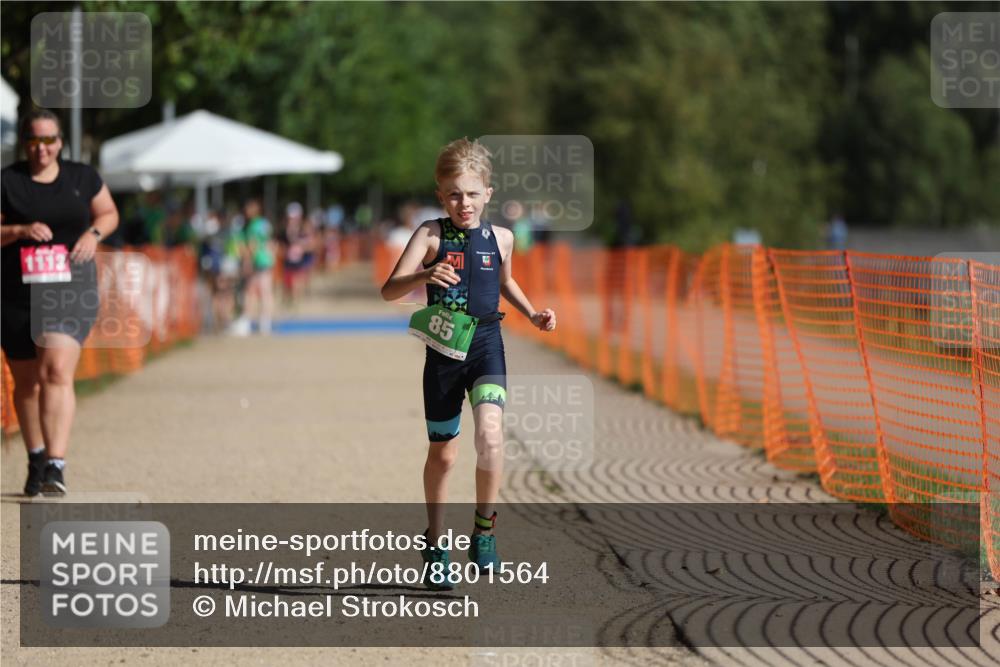 07.09.2025 - 19. Norderstedt Triathlon Michael Strokosch http://msf.ph/oto/8801564 07.09.2025 10:58:51 Laufen 85, 1113 meine-sportfotos.de