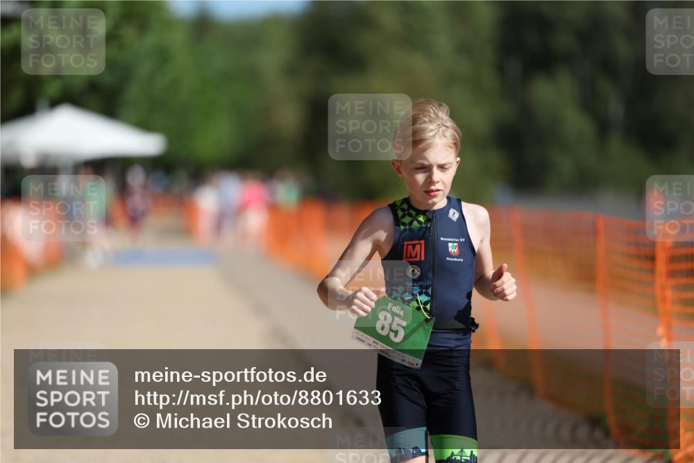 07.09.2025 - 19. Norderstedt Triathlon Michael Strokosch http://msf.ph/oto/8801633 07.09.2025 10:58:53 Laufen 85, 1113 meine-sportfotos.de