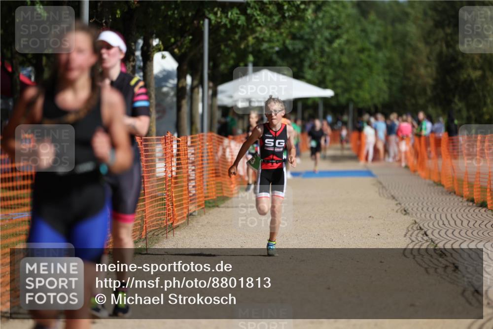 07.09.2025 - 19. Norderstedt Triathlon Michael Strokosch http://msf.ph/oto/8801813 07.09.2025 10:59:19 Laufen 64, 83, 1123 meine-sportfotos.de