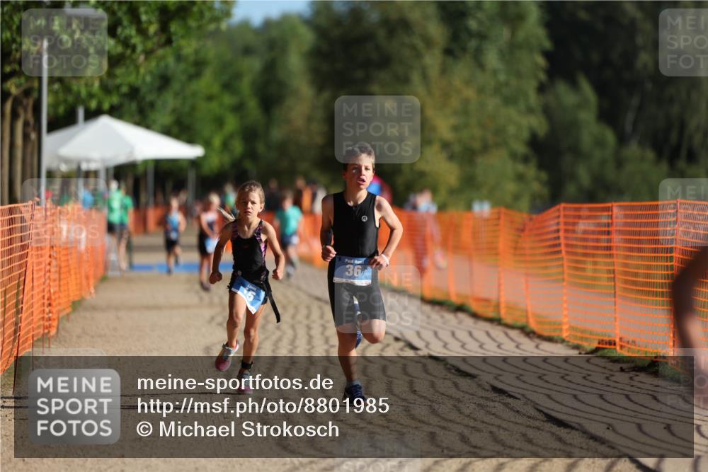07.09.2025 - 19. Norderstedt Triathlon Michael Strokosch http://msf.ph/oto/8801985 07.09.2025 09:16:22 Laufen 6, 15, 36, 40 meine-sportfotos.de