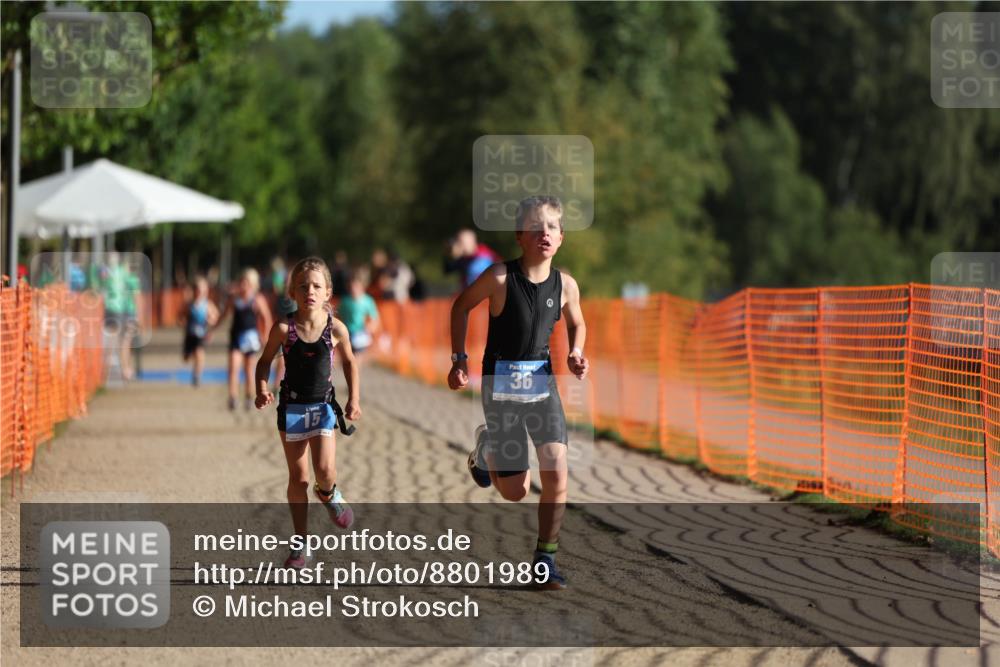 07.09.2025 - 19. Norderstedt Triathlon Michael Strokosch http://msf.ph/oto/8801989 07.09.2025 09:16:23 Laufen 6, 15, 36, 40 meine-sportfotos.de