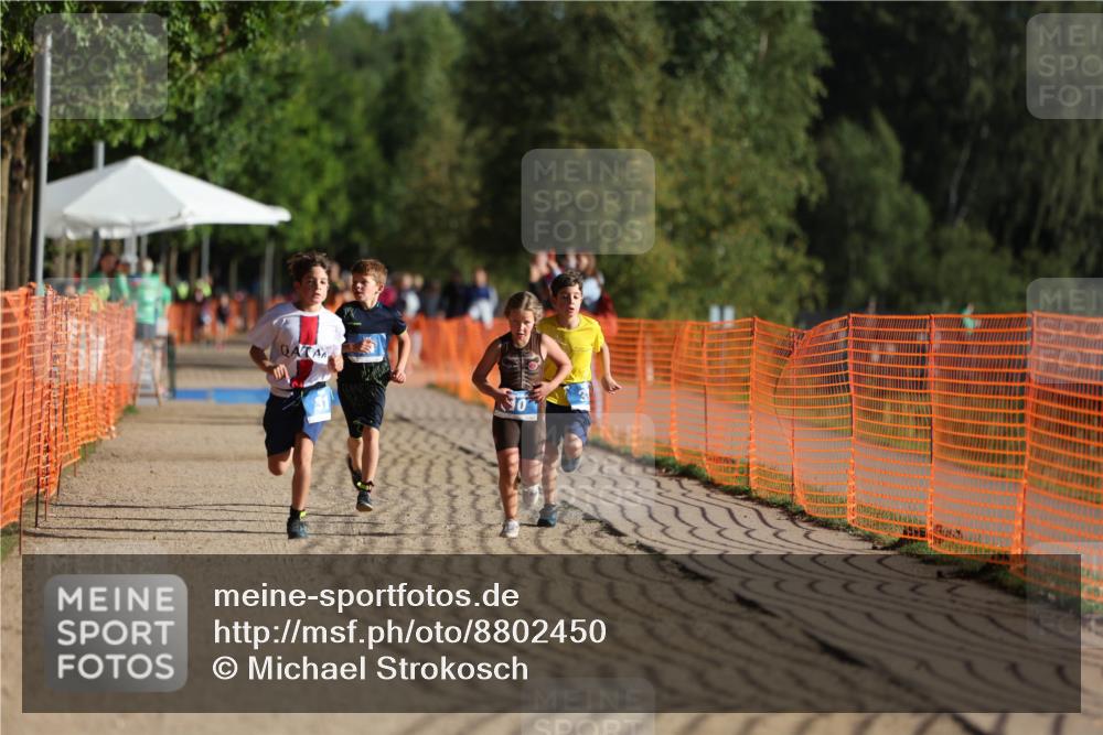 07.09.2025 - 19. Norderstedt Triathlon Michael Strokosch http://msf.ph/oto/8802450 07.09.2025 09:17:02 Laufen 10, 24, 31, 32, 43 meine-sportfotos.de