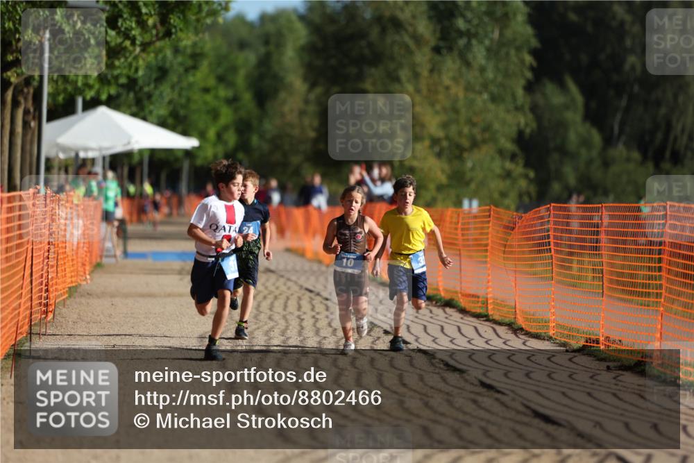 07.09.2025 - 19. Norderstedt Triathlon Michael Strokosch http://msf.ph/oto/8802466 07.09.2025 09:17:02 Laufen 10, 24, 31, 32, 43 meine-sportfotos.de