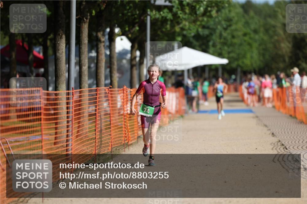 07.09.2025 - 19. Norderstedt Triathlon Michael Strokosch http://msf.ph/oto/8803255 07.09.2025 11:01:36 Laufen 74 meine-sportfotos.de