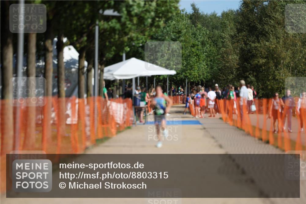 07.09.2025 - 19. Norderstedt Triathlon Michael Strokosch http://msf.ph/oto/8803315 07.09.2025 11:01:41 Laufen 74, 111 meine-sportfotos.de