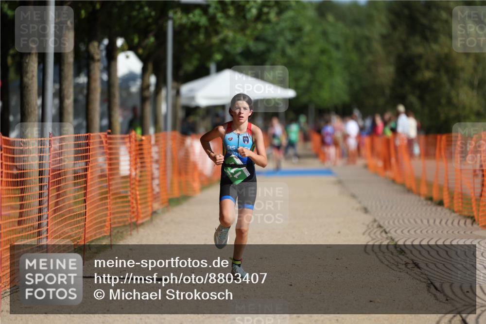 07.09.2025 - 19. Norderstedt Triathlon Michael Strokosch http://msf.ph/oto/8803407 07.09.2025 11:01:45 Laufen 74, 111 meine-sportfotos.de