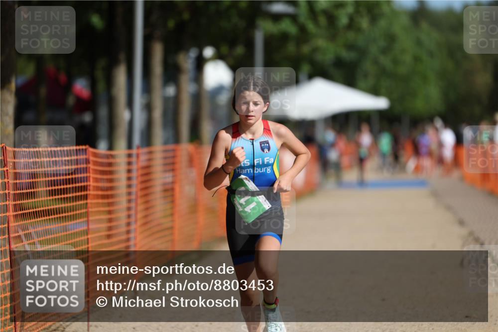 07.09.2025 - 19. Norderstedt Triathlon Michael Strokosch http://msf.ph/oto/8803453 07.09.2025 11:01:47 Laufen 111 meine-sportfotos.de