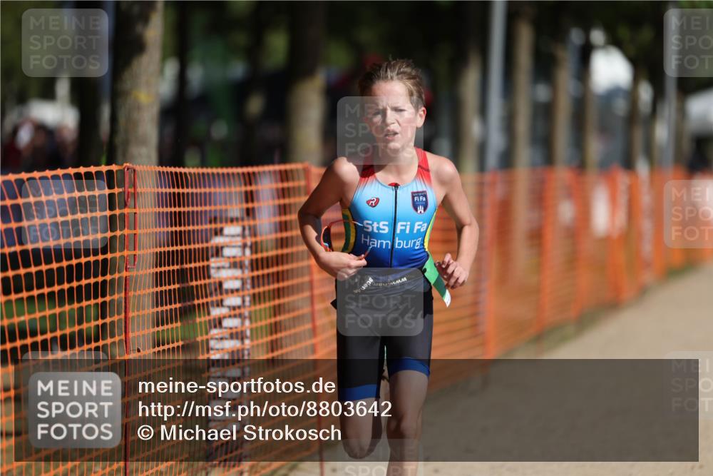 07.09.2025 - 19. Norderstedt Triathlon Michael Strokosch http://msf.ph/oto/8803642 07.09.2025 11:02:46 Laufen 56, 66 meine-sportfotos.de