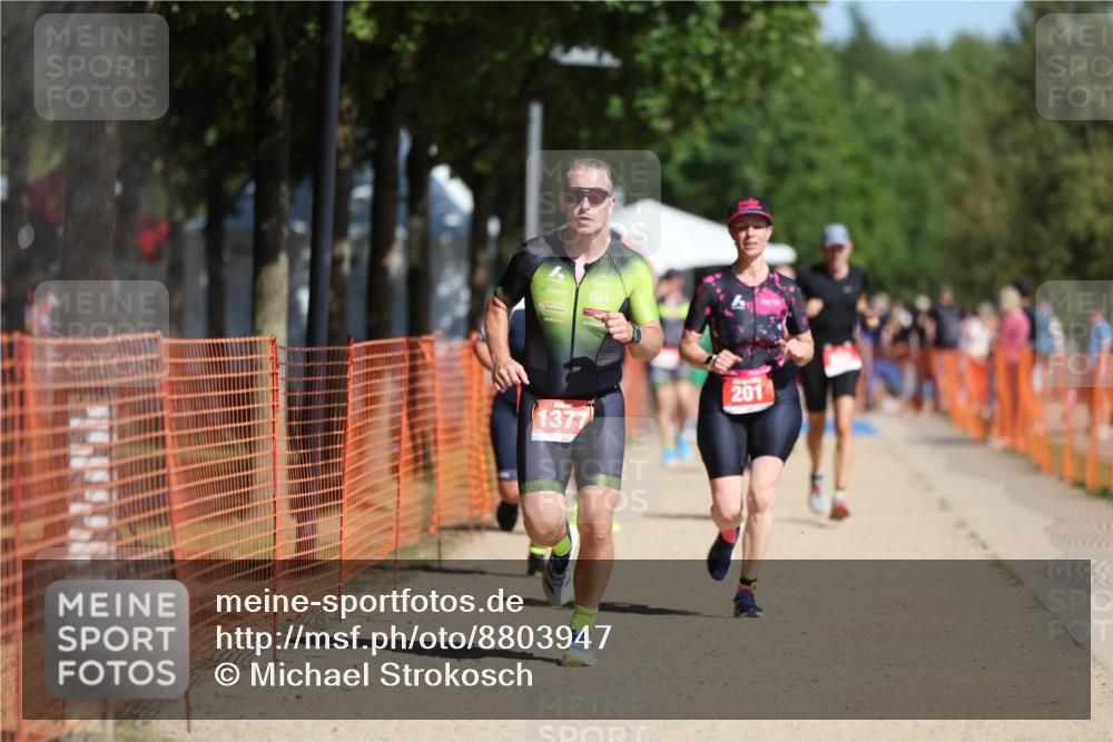 07.09.2025 - 19. Norderstedt Triathlon Michael Strokosch http://msf.ph/oto/8803947 07.09.2025 12:05:44 Laufen 201, 237, 815, 1225, 1377 meine-sportfotos.de