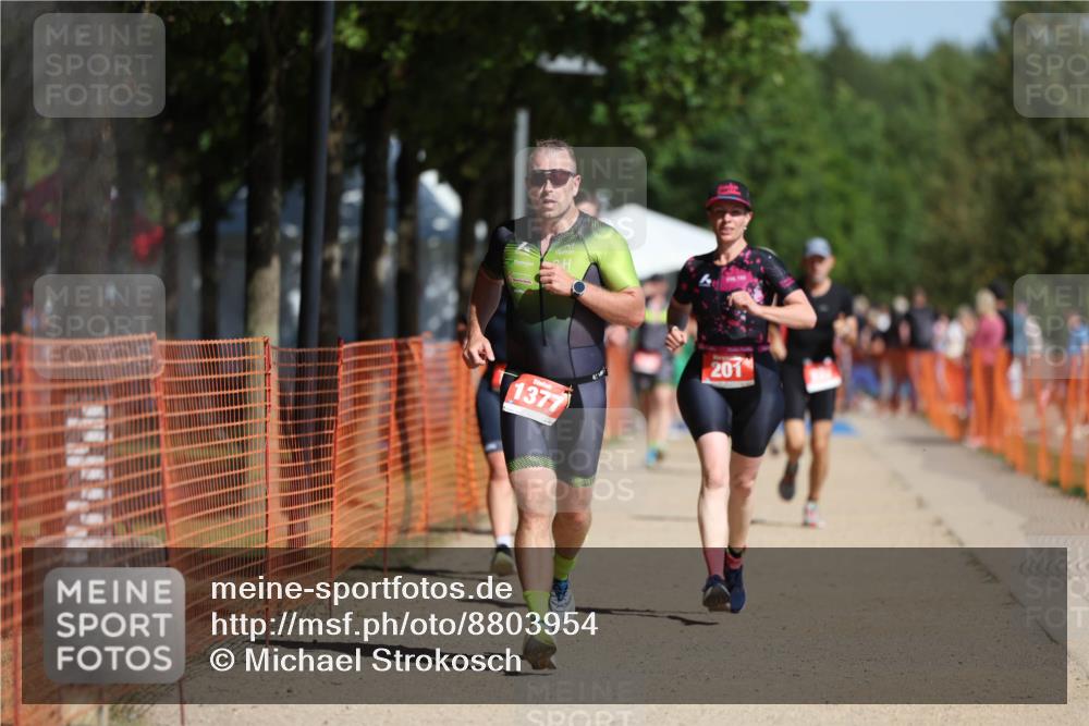 07.09.2025 - 19. Norderstedt Triathlon Michael Strokosch http://msf.ph/oto/8803954 07.09.2025 12:05:44 Laufen 201, 237, 815, 1225, 1377 meine-sportfotos.de