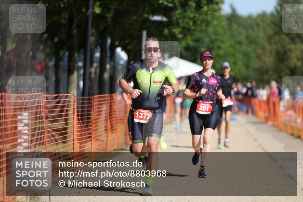 07.09.2025 - 19. Norderstedt Triathlon Michael Strokosch http://msf.ph/oto/8803968 07.09.2025 12:05:45 Laufen 201, 237, 815, 1225, 1377 meine-sportfotos.de