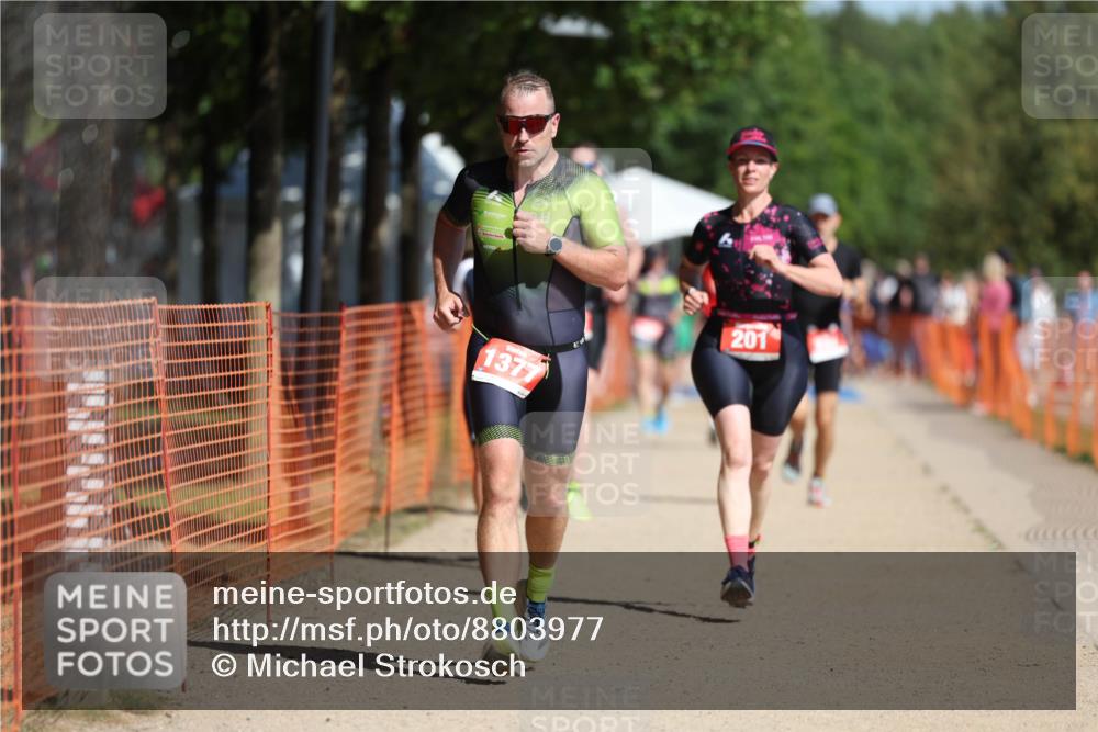 07.09.2025 - 19. Norderstedt Triathlon Michael Strokosch http://msf.ph/oto/8803977 07.09.2025 12:05:45 Laufen 201, 237, 815, 1225, 1377 meine-sportfotos.de