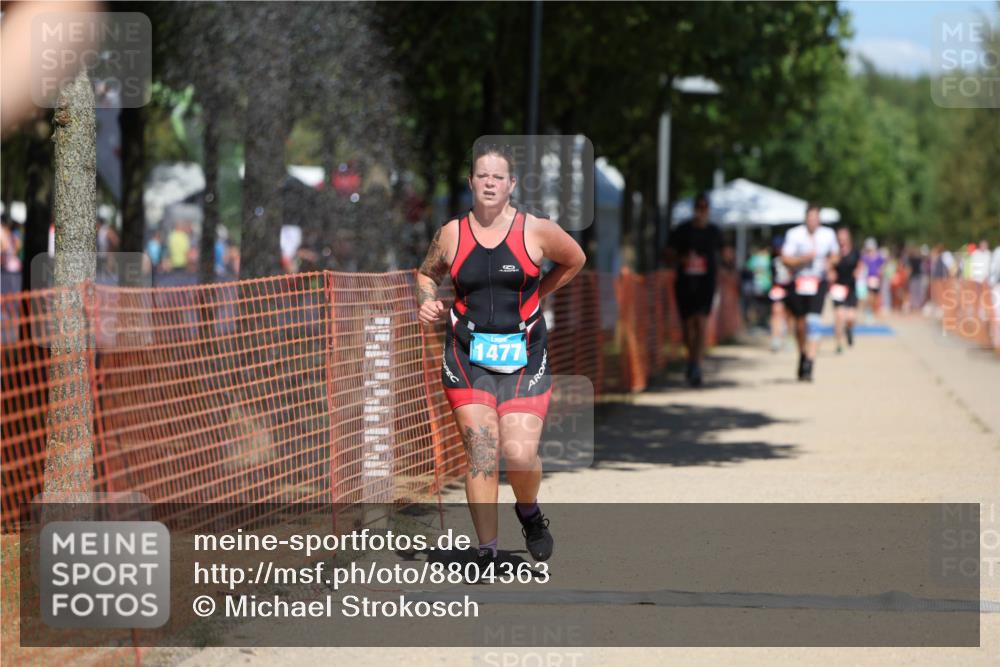 07.09.2025 - 19. Norderstedt Triathlon Michael Strokosch http://msf.ph/oto/8804363 07.09.2025 13:14:10 Laufen 177, 351, 1477 meine-sportfotos.de