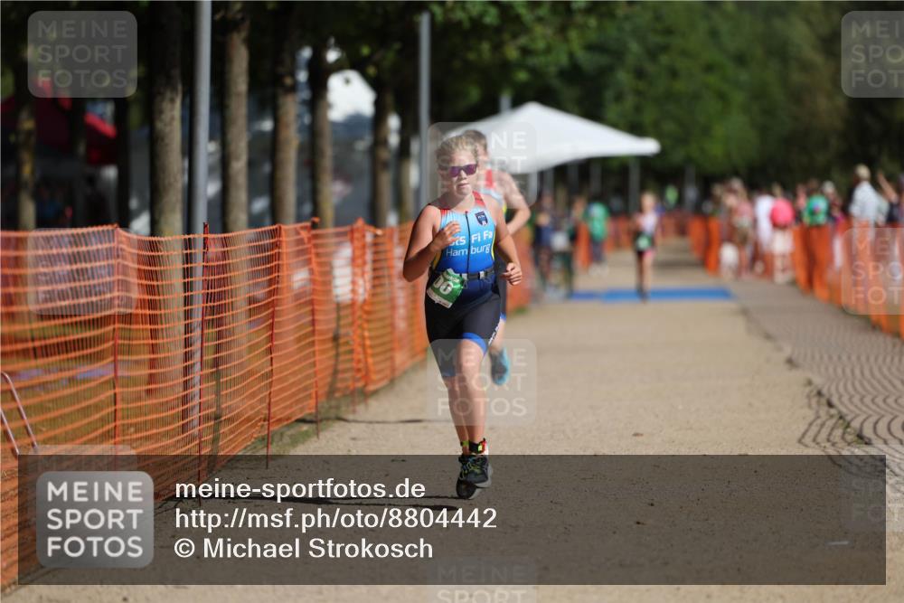 07.09.2025 - 19. Norderstedt Triathlon Michael Strokosch http://msf.ph/oto/8804442 07.09.2025 11:04:40 Laufen 100, 641, 650 meine-sportfotos.de