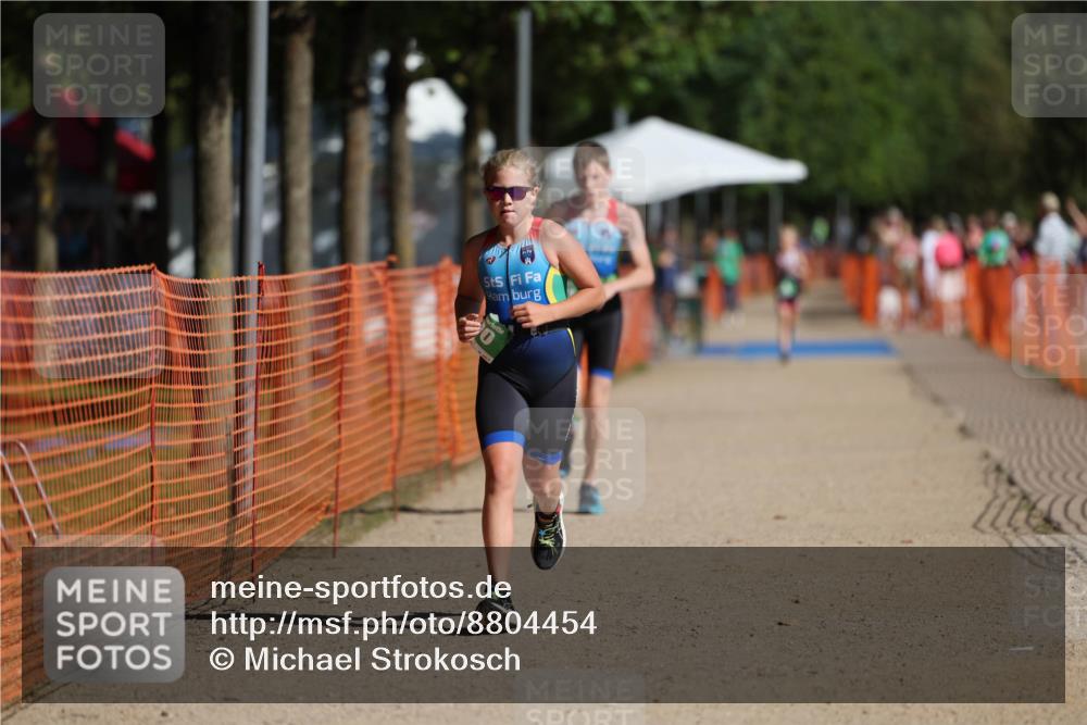 07.09.2025 - 19. Norderstedt Triathlon Michael Strokosch http://msf.ph/oto/8804454 07.09.2025 11:04:40 Laufen 100, 641, 650 meine-sportfotos.de