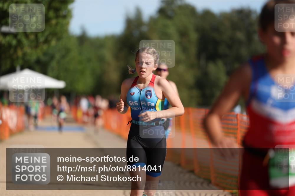 07.09.2025 - 19. Norderstedt Triathlon Michael Strokosch http://msf.ph/oto/8814041 07.09.2025 10:45:01 Laufen 108, 131, 1111, 1119 meine-sportfotos.de
