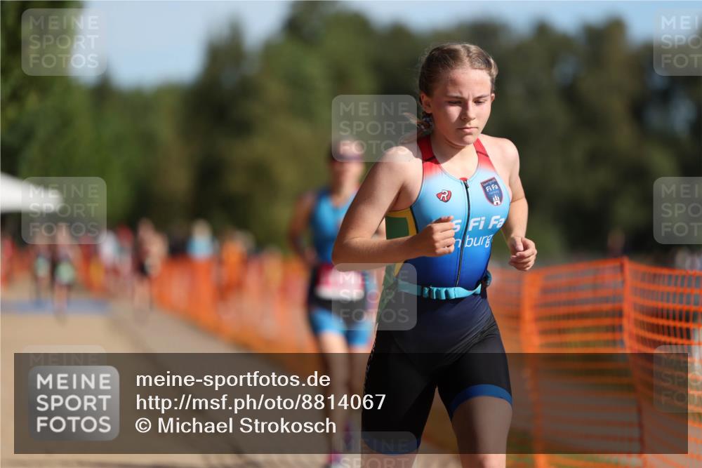 07.09.2025 - 19. Norderstedt Triathlon Michael Strokosch http://msf.ph/oto/8814067 07.09.2025 10:45:02 Laufen 108, 131, 1111, 1119 meine-sportfotos.de