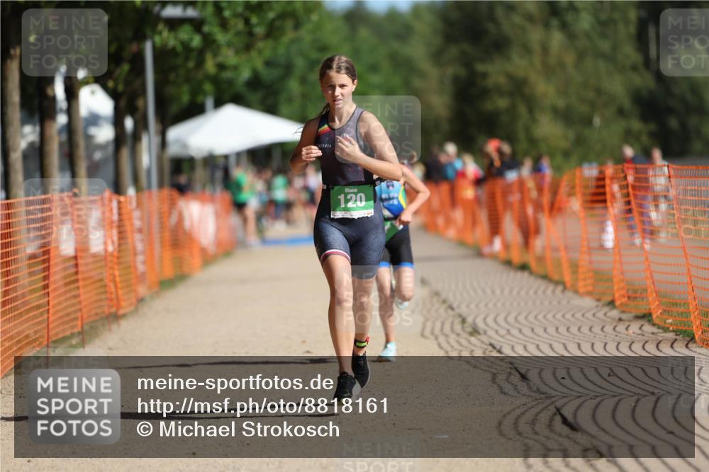 07.09.2025 - 19. Norderstedt Triathlon Michael Strokosch http://msf.ph/oto/8818161 07.09.2025 10:49:21 Laufen 79, 111, 120 meine-sportfotos.de
